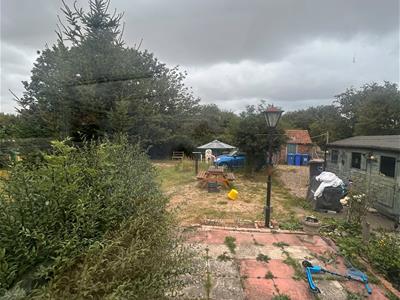 Picture 21